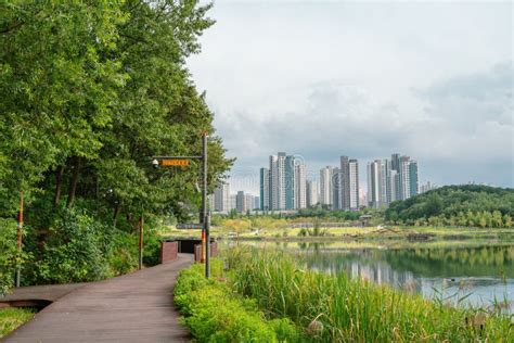 동탄 호수공원, 도시 속 자연의 숨결을 느끼다